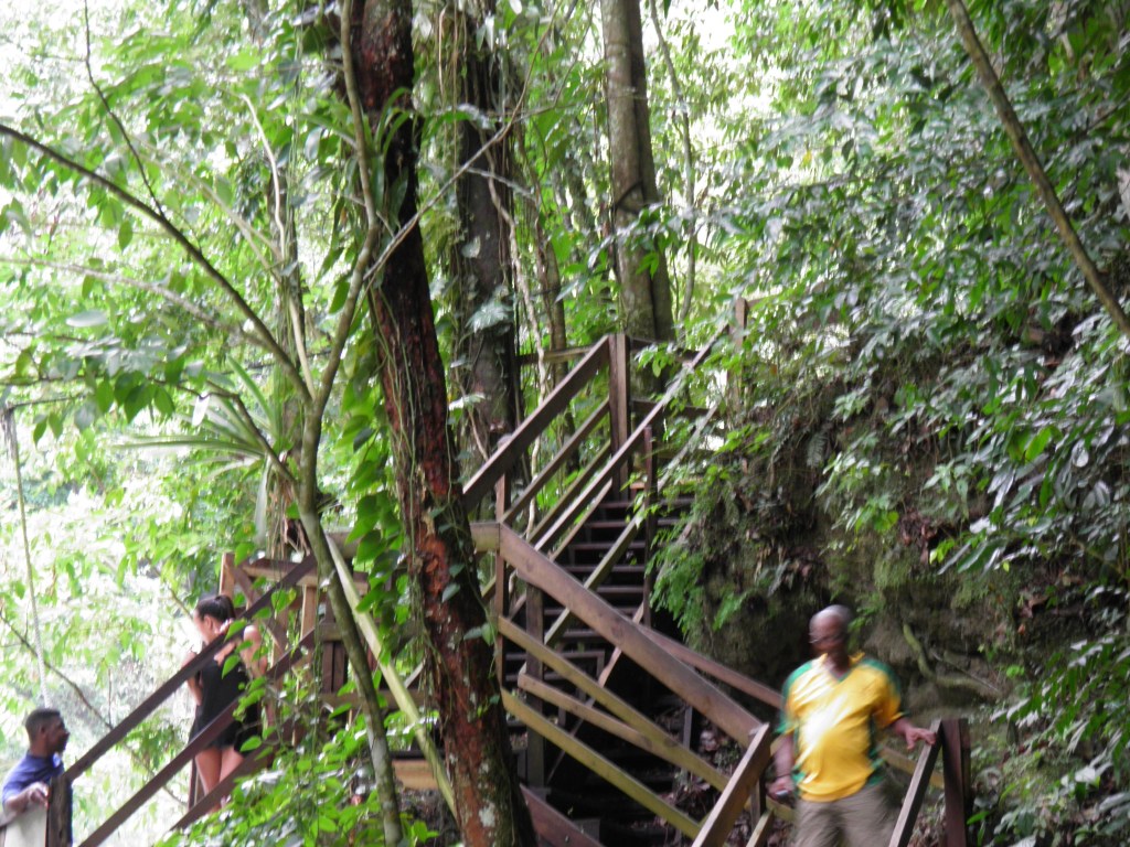 Pathway going to zip line and further up the falls