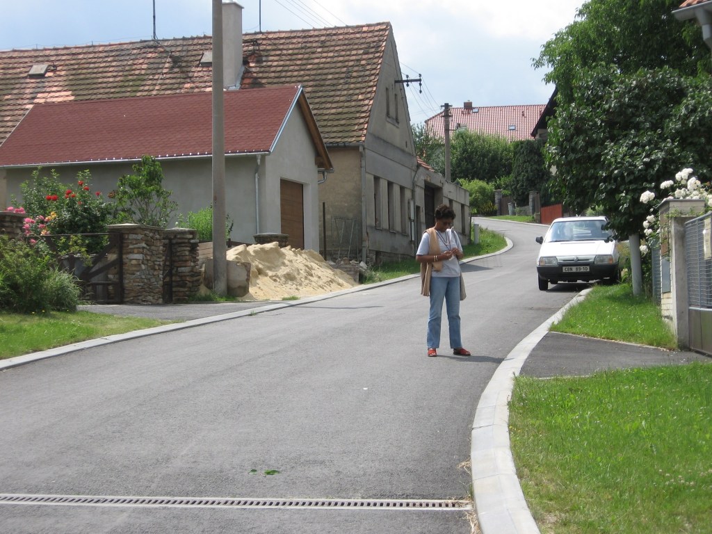 Beulah checking out the environment 